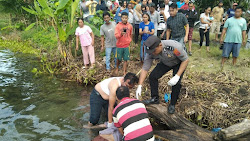 Warga Kecamatan Nainggolan Dihebohkan Penemuan Mayat Mengapung di Danau Toba