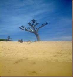 Imagem164