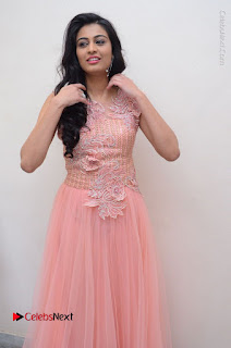 Actress Neha Hinge Stills in Pink Long Dress at Srivalli Teaser Launch  0140.JPG