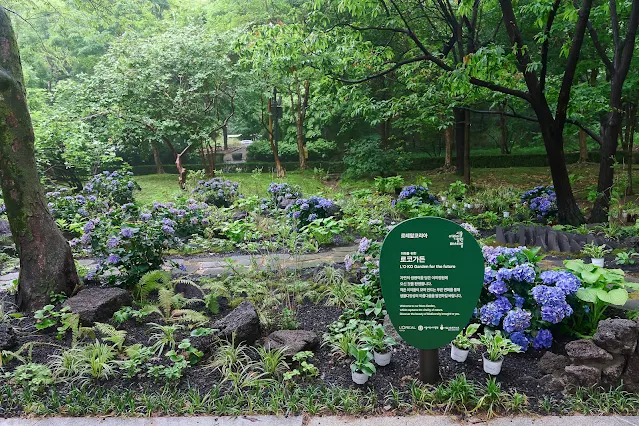 서울그린트러스트, 로레알코리아, 로코가든, 서울어린이대공원,