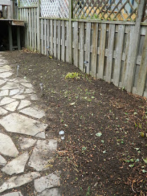 Leslieville Fall Cleanup After by Paul Jung Gardening Services--a Toronto Gardening Services Company