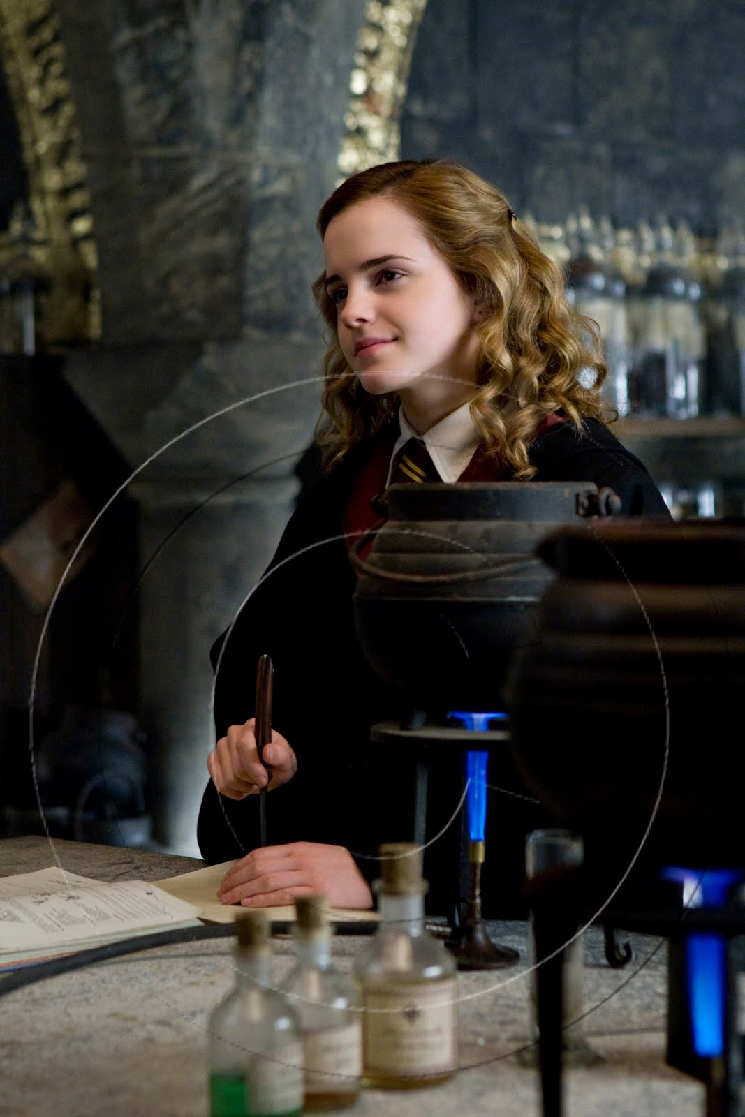 Journey of A Lifetime: Hermione Granger