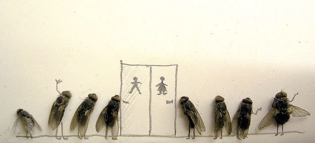 [dead-fly-art-11.jpg]