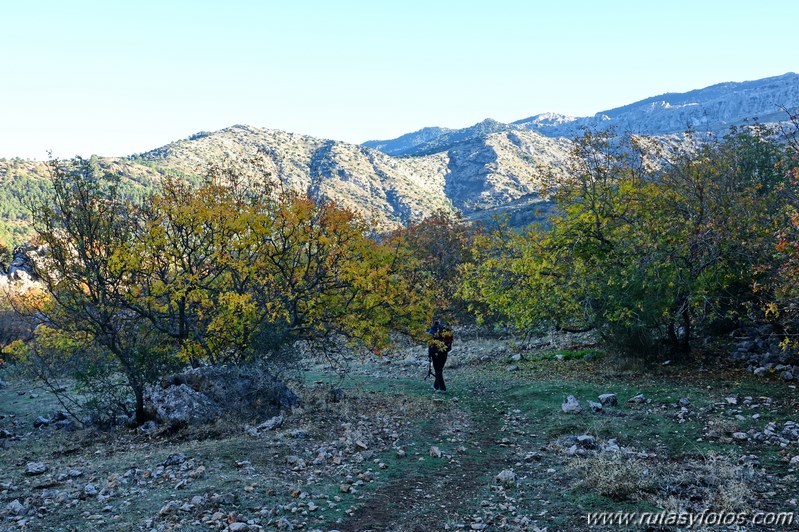 Cornicabral del Valle de Lifa