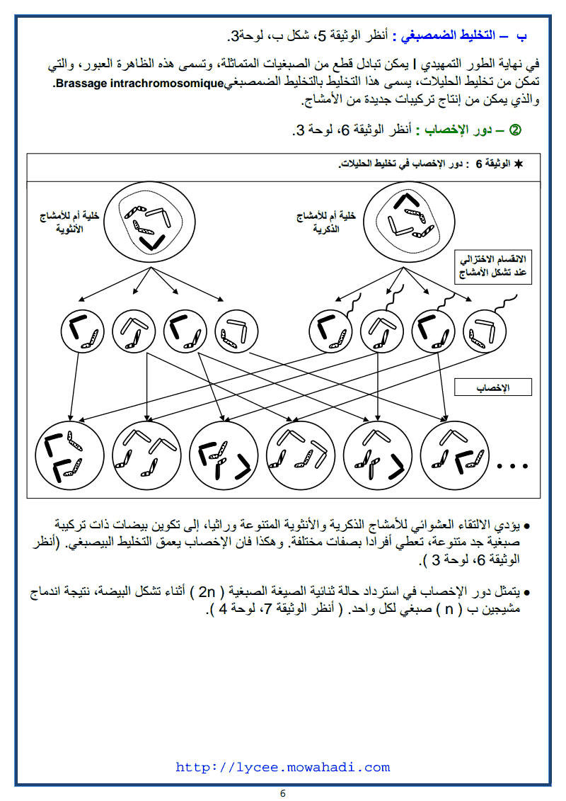  درس نقل الخبر الوراثي عبر التوالد -6