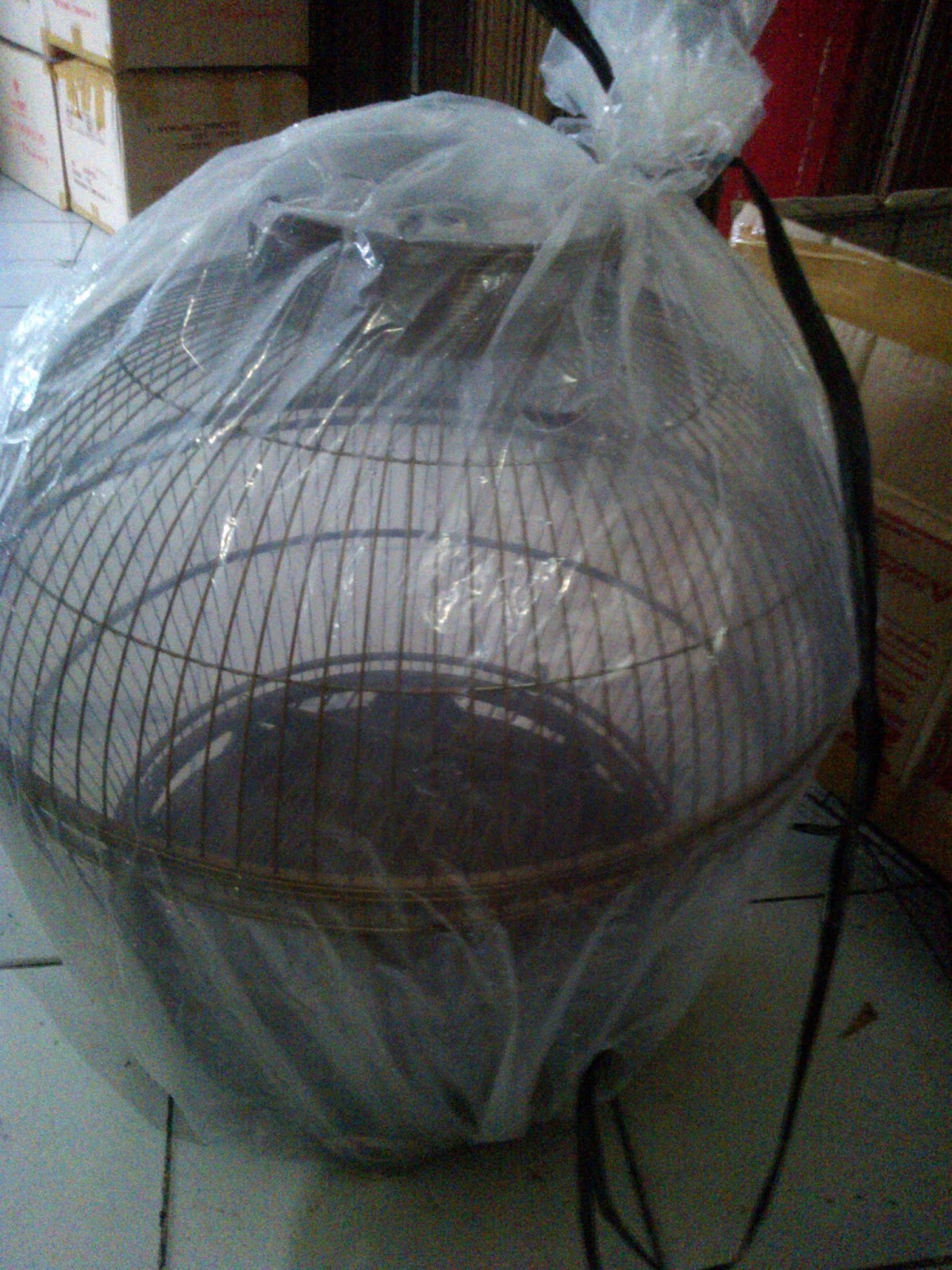 Sangkar Untuk Burung Puter Pelung dan Derkuku - Ternak 