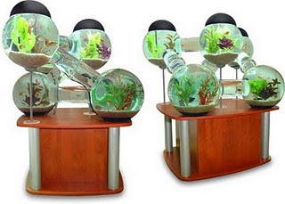 Aquarium Model Ball