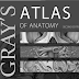 Gray's Atlas of Anatomy - Second Edition