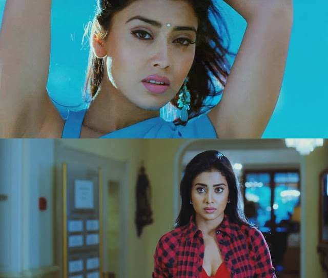 hot shriya saran don seenu