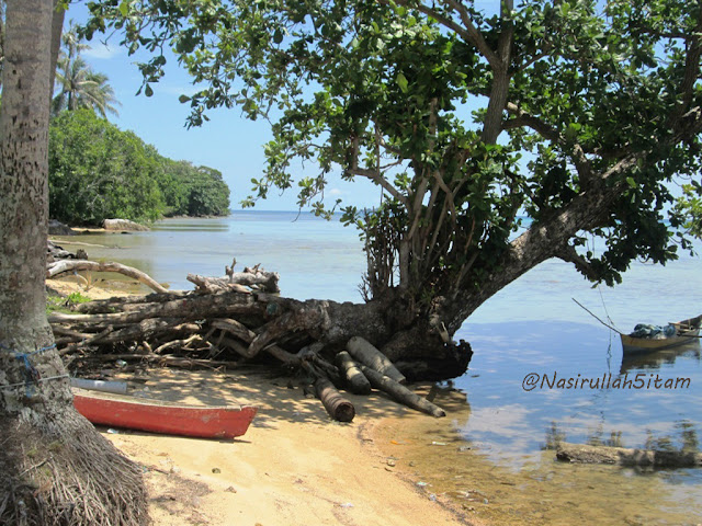 Pemandangan di pantai Nyamplungan, Karimunjawa