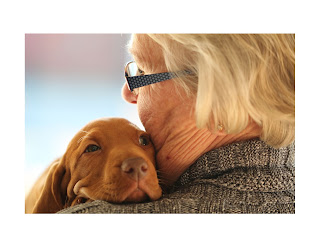 Based on scientific evidence, it is safe to say that dogs can indeed feel love or at least a form of attachment that resembles human love. The release of oxytocin during positive interactions with their owners and the presence of brain regions responsible for processing emotions suggest that dogs are capable of forming strong emotional bonds.