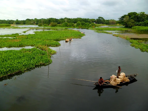 ভাব-সম্প্রসারণ : স্বদেশের উপকারে নাই যার মন কে বলে মানুষ তারে পশু সেই জন