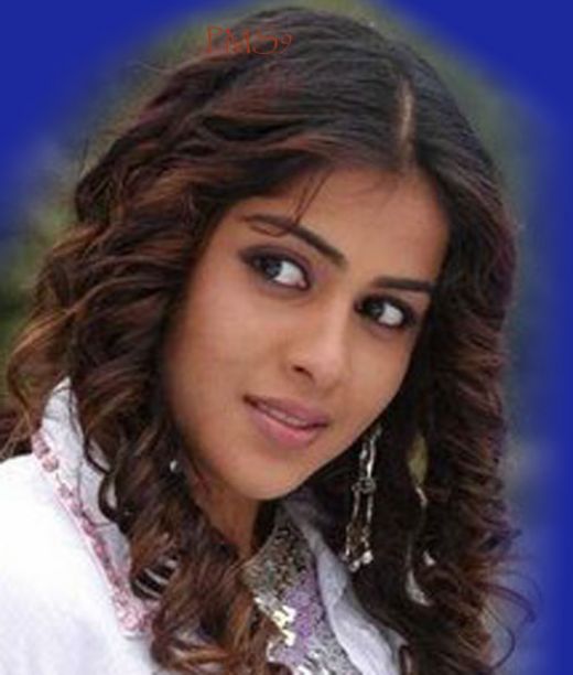 Genelia D'Souza hot  pic 