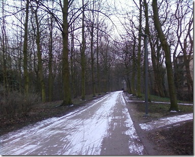 Photo-45