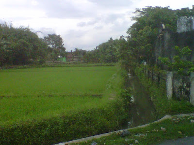 +Foto gambar keindahan sungai di pedesaan