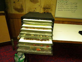 dehydrator filled with food