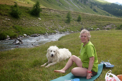 marmotte au Lauzanier