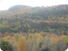 IMG_3404