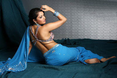 Tollywood Actress Nikitha Hot Saree Navel Show Photos Gallery