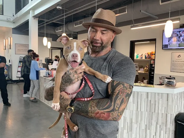 Dave Bautista Adopts Horribly Abused Pit Bull Puppy Found Eating Trash In Cemetery