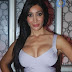 Sofia Hayat Big Boobs Photos at Goodnight Movie Launch | Hot Babe Showing Her B00Bs @ A Goodnite Movie Launch