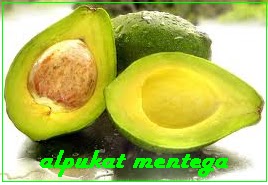 avocad