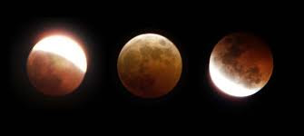 Lunar Eclipse Picture