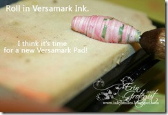 VersamarkRoll4Web