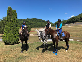 Franklin-Training-Horses-Lessons-Horse-Trainer-Nashville-Rider-Equestrian-Clinics-Tennessee-grand-prix-horse-hight-quality-Riding-school-Hunter-Students-Jumping-Dressage-Eventing-Pauline-Renon-BES-BeechCreek-Equestrian