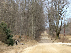 tunnel of trees in winter on LaSalle Road Mason County Michigan