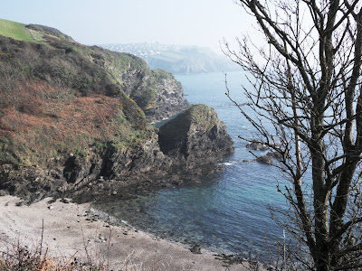 Cliffs at Menabilly Cornwall