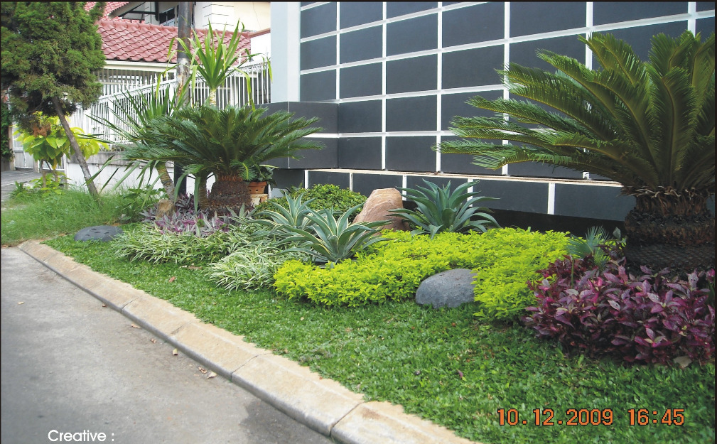 taman rumput taman kolam taman minimalis  LOVE GREEN