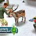 The Sims FreePlay: Atualização de Natal