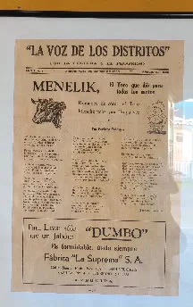 Toro Menelik, mayor ganador de las peleas de toros