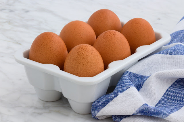 egg protein