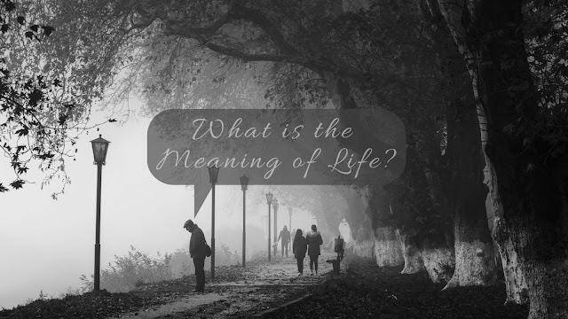 What is the meaning of life?