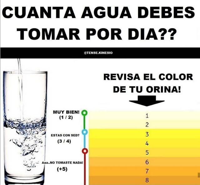 📸CUANTA AGUA DEBEMOS TOMAR❓🤔