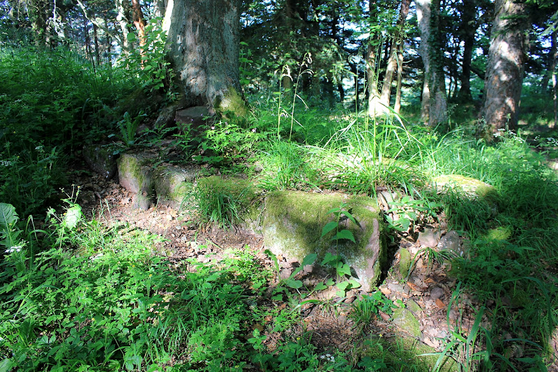 vestiges de château fort