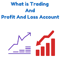 What is Trading And Profit And Loss Account And Format Example In Accounting