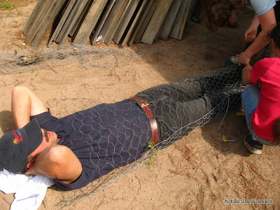  Slick on the ground, enclosed in chicken wire up to his chest