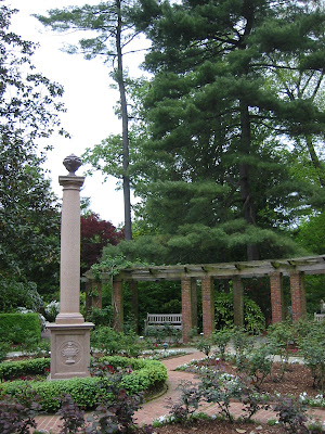 White wisteria grows over a pergola which surrounds the rose garden