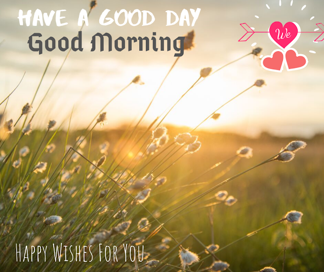 Good Morning sun rising image with beautiful grass. Good morning Images