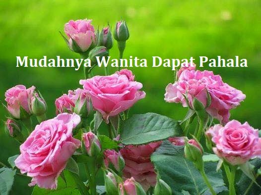 Mudahnya Wanita Dapat Pahala