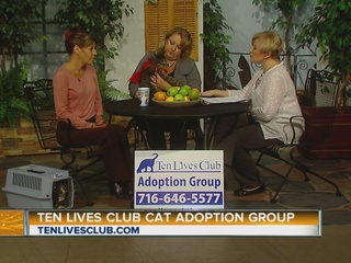 http://www.wkbw.com/am-buffalo/ten-lives-club