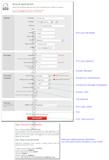 forex copy system  - live account registration