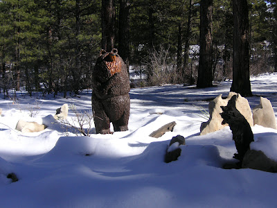 Bear in Zion National Park