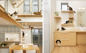 Sebuah perusahaan konstruksi Jepang menawarkan desain rumah khusus bagi pemelihara kucing
