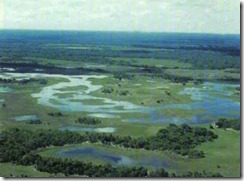 pantanal-12