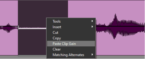 Paste Clip Gain In Pro Tools