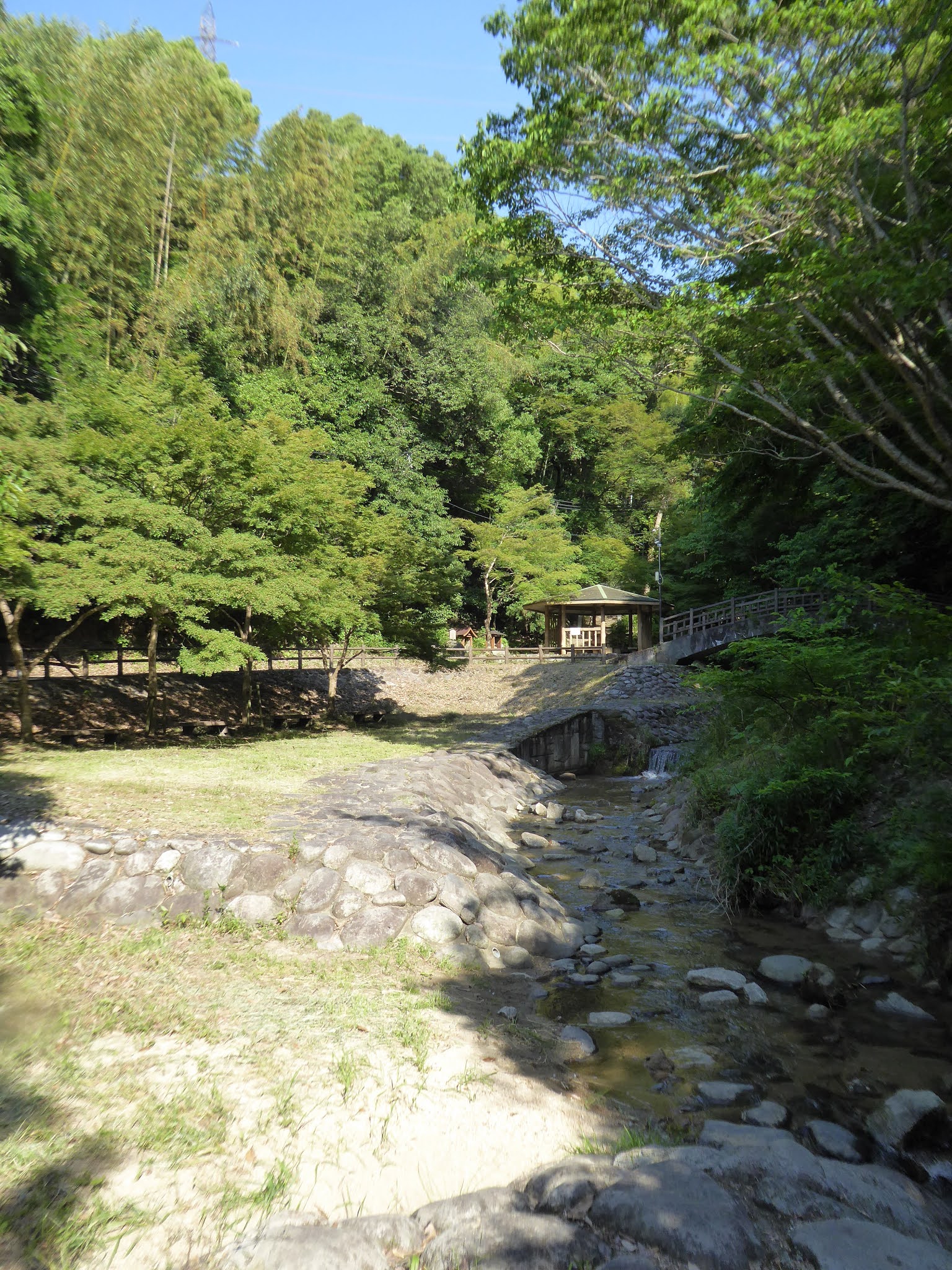 交野市 サワガニを見つけた 新緑の6月 小川の清涼 源氏の滝周辺 関西のウォーキングスポット ブログ
